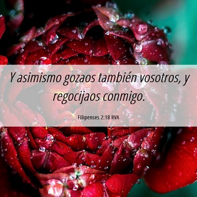 Picture 06 - Filipenses 2:18 RVA - Y asimismo gozaos también vosotros, y regocijaos - Bible Verse Picture