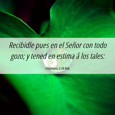 Picture 06 - Filipenses 2:29 RVA - Recibidle pues en el Señor con todo gozo; y - Bible Verse Picture