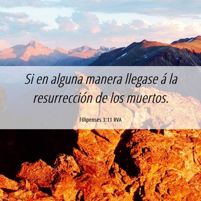 Picture 06 - Filipenses 3:11 RVA - Si en alguna manera llegase á la resurrección - Bible Verse Picture