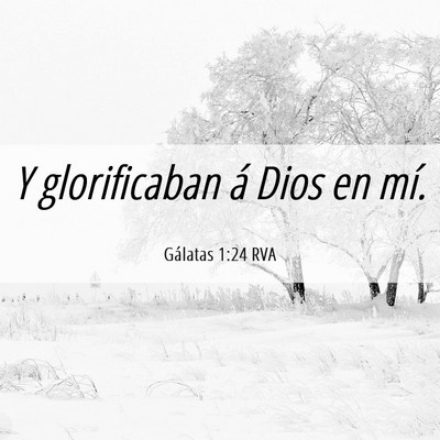 Picture 06 - Gálatas 1:24 RVA - Y glorificaban á Dios en - Bible Verse Picture