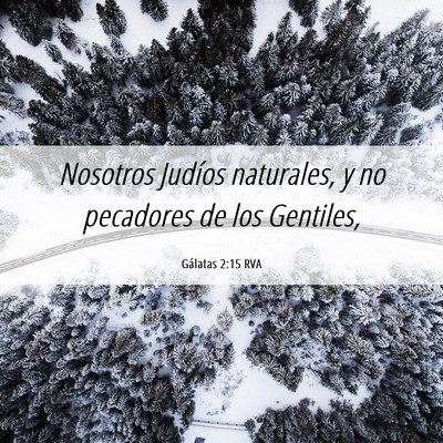 Picture 06 - Gálatas 2:15 RVA - Nosotros Judíos naturales, y no pecadores de los - Bible Verse Picture