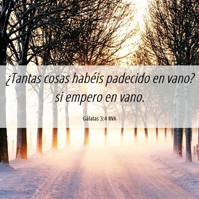 Picture 06 - Gálatas 3:4 RVA - ¿Tantas cosas habéis padecido en vano? si - Bible Verse Picture