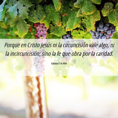 Picture 06 - Gálatas 5:6 RVA - Porque en Cristo Jesús ni la circuncisión vale - Bible Verse Picture