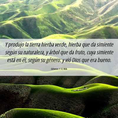 Picture 06 - Génesis 1:12 RVA - Y produjo la tierra hierba verde, hierba que da - Bible Verse Picture