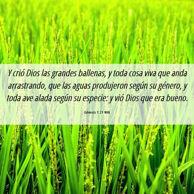 Picture 06 - Génesis 1:21 RVA - Y crió Dios las grandes ballenas, y toda cosa - Bible Verse Picture