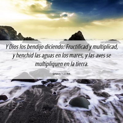 Picture 06 - Génesis 1:22 RVA - Y Dios los bendijo diciendo: Fructificad y - Bible Verse Picture