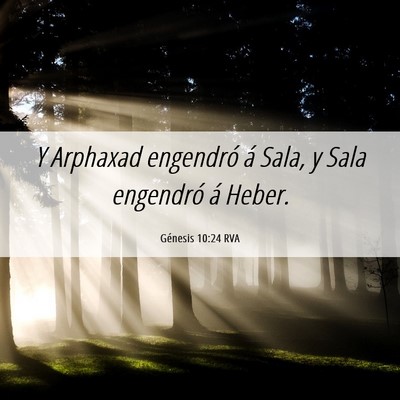 Picture 06 - Génesis 10:24 RVA - Y Arphaxad engendró á Sala, y Sala engendró á - Bible Verse Picture