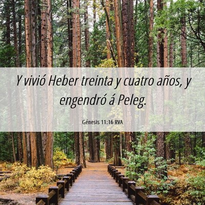 Picture 06 - Génesis 11:16 RVA - Y vivió Heber treinta y cuatro años, y - Bible Verse Picture