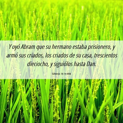Picture 06 - Génesis 14:14 RVA - Y oyó Abram que su hermano estaba prisionero, y - Bible Verse Picture