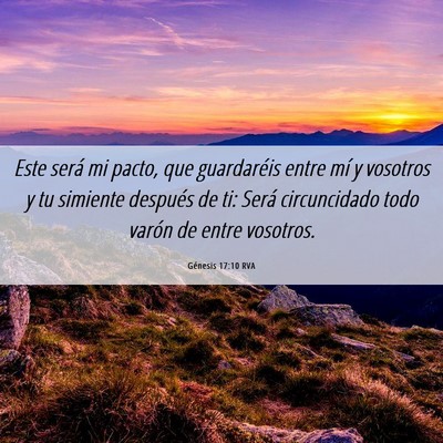 Picture 06 - Génesis 17:10 RVA - Este será mi pacto, que guardaréis entre mí y - Bible Verse Picture