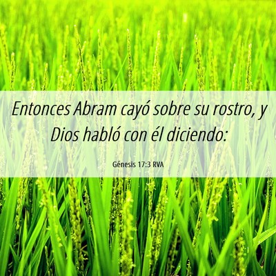 Picture 06 - Génesis 17:3 RVA - Entonces Abram cayó sobre su rostro, y Dios - Bible Verse Picture