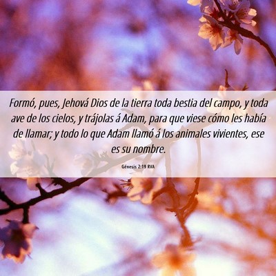 Picture 06 - Génesis 2:19 RVA - Formó, pues, Jehová Dios de la tierra toda - Bible Verse Picture