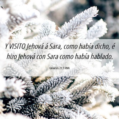 Picture 06 - Génesis 21:1 RVA - Y VISITO Jehová á Sara, como había dicho, é - Bible Verse Picture