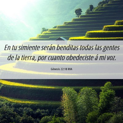 Picture 06 - Génesis 22:18 RVA - En tu simiente serán benditas todas las gentes - Bible Verse Picture