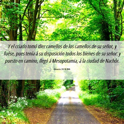 Picture 06 - Génesis 24:10 RVA - Y el criado tomó diez camellos de los camellos - Bible Verse Picture