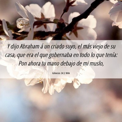 Picture 06 - Génesis 24:2 RVA - Y dijo Abraham á un criado suyo, el más viejo - Bible Verse Picture