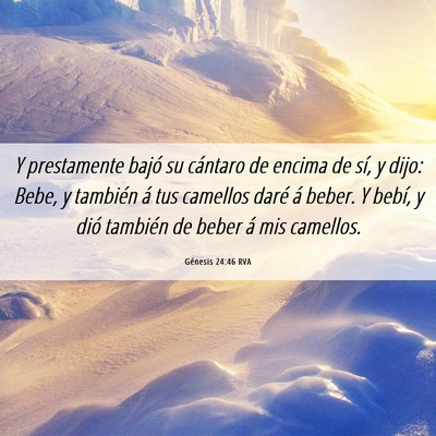 Picture 06 - Génesis 24:46 RVA - Y prestamente bajó su cántaro de encima de sí, - Bible Verse Picture