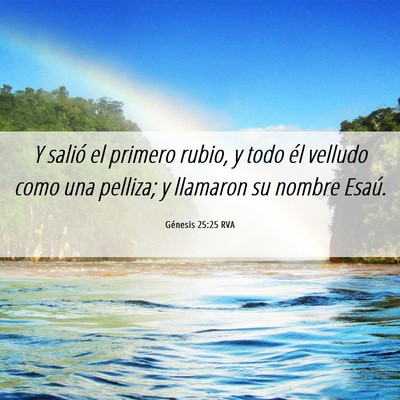 Picture 06 - Génesis 25:25 RVA - Y salió el primero rubio, y todo él velludo - Bible Verse Picture