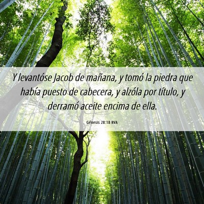 Picture 06 - Génesis 28:18 RVA - Y levantóse Jacob de mañana, y tomó la piedra - Bible Verse Picture