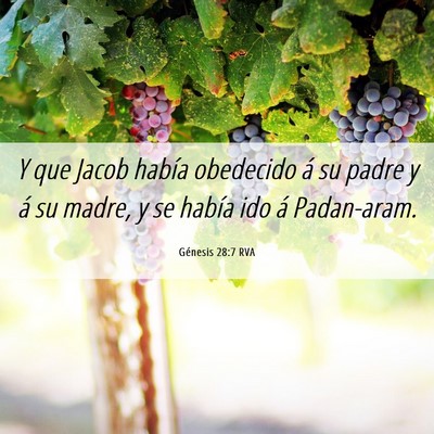 Picture 06 - Génesis 28:7 RVA - Y que Jacob había obedecido á su padre y á su - Bible Verse Picture