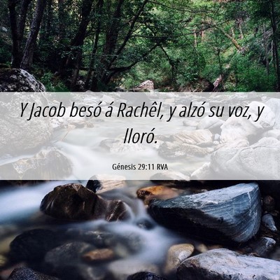 Picture 06 - Génesis 29:11 RVA - Y Jacob besó á Rachêl, y alzó su voz, y - Bible Verse Picture