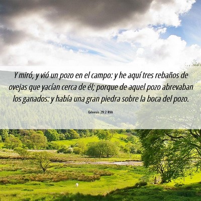 Picture 06 - Génesis 29:2 RVA - Y miró, y vió un pozo en el campo: y he aquí - Bible Verse Picture