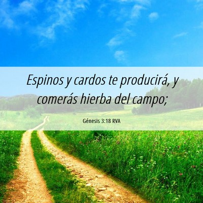 Picture 06 - Génesis 3:18 RVA - Espinos y cardos te producirá, y comerás hierba - Bible Verse Picture