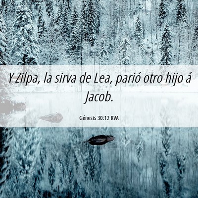 Picture 06 - Génesis 30:12 RVA - Y Zilpa, la sirva de Lea, parió otro hijo á - Bible Verse Picture
