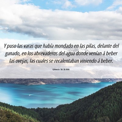 Picture 06 - Génesis 30:38 RVA - Y puso las varas que había mondado en las pilas, - Bible Verse Picture