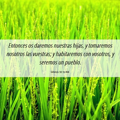 Picture 06 - Génesis 34:16 RVA - Entonces os daremos nuestras hijas, y tomaremos - Bible Verse Picture