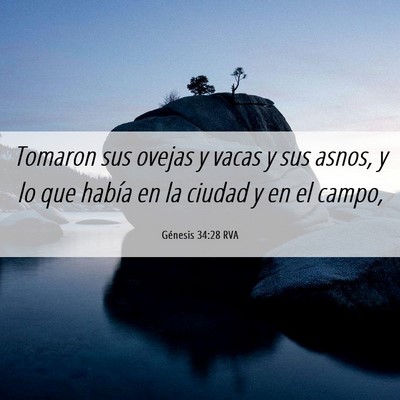 Picture 06 - Génesis 34:28 RVA - Tomaron sus ovejas y vacas y sus asnos, y lo que - Bible Verse Picture