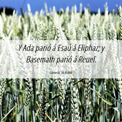 Picture 06 - Génesis 36:4 RVA - Y Ada parió á Esaú á Eliphaz; y Basemath - Bible Verse Picture