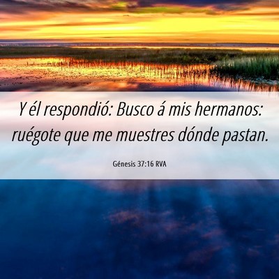 Picture 06 - Génesis 37:16 RVA - Y él respondió: Busco á mis hermanos: ruégote - Bible Verse Picture