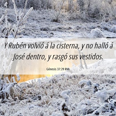 Picture 06 - Génesis 37:29 RVA - Y Rubén volvió á la cisterna, y no halló á - Bible Verse Picture