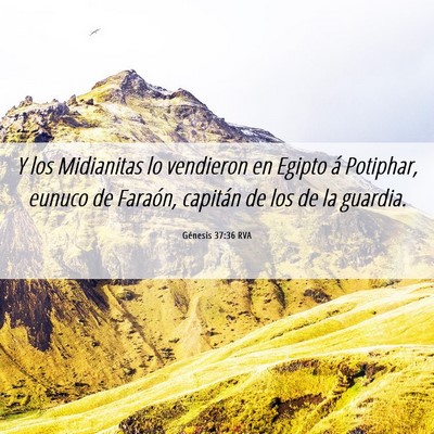 Picture 06 - Génesis 37:36 RVA - Y los Midianitas lo vendieron en Egipto á - Bible Verse Picture