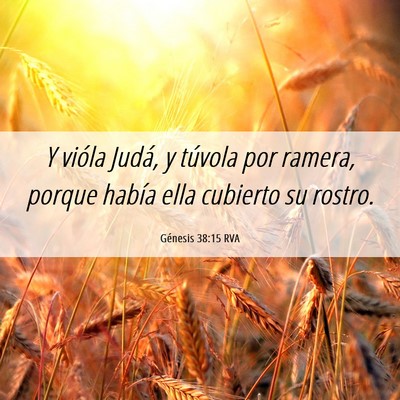 Picture 06 - Génesis 38:15 RVA - Y vióla Judá, y túvola por ramera, porque - Bible Verse Picture