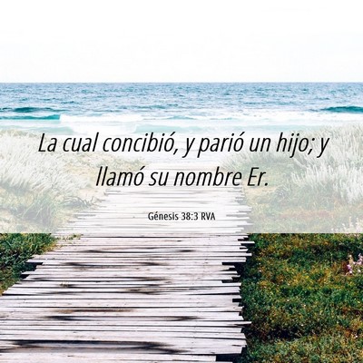 Picture 06 - Génesis 38:3 RVA - La cual concibió, y parió un hijo; y llamó su - Bible Verse Picture