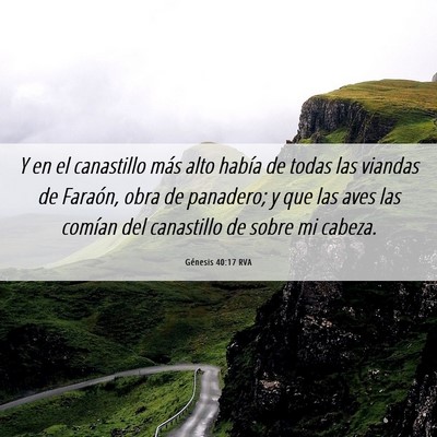 Picture 06 - Génesis 40:17 RVA - Y en el canastillo más alto había de todas las - Bible Verse Picture