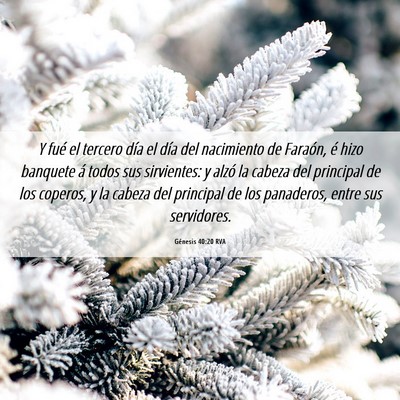Picture 06 - Génesis 40:20 RVA - Y fué el tercero día el día del nacimiento de - Bible Verse Picture