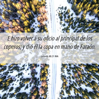 Picture 06 - Génesis 40:21 RVA - E hizo volver á su oficio al principal de los - Bible Verse Picture