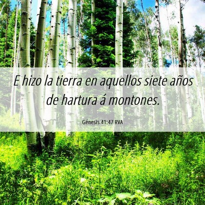 Picture 06 - Génesis 41:47 RVA - E hizo la tierra en aquellos siete años de - Bible Verse Picture