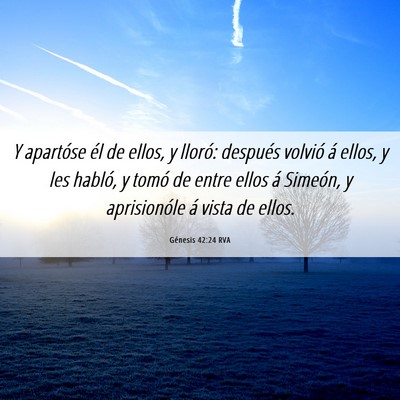Picture 06 - Génesis 42:24 RVA - Y apartóse él de ellos, y lloró: después - Bible Verse Picture