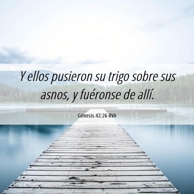 Picture 06 - Génesis 42:26 RVA - Y ellos pusieron su trigo sobre sus asnos, y - Bible Verse Picture