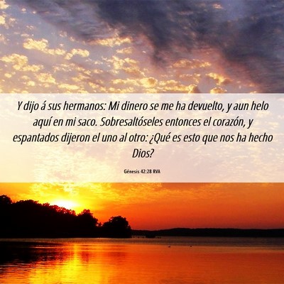 Picture 06 - Génesis 42:28 RVA - Y dijo á sus hermanos: Mi dinero se me ha - Bible Verse Picture