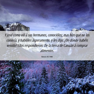 Picture 06 - Génesis 42:7 RVA - Y José como vió á sus hermanos, conociólos; - Bible Verse Picture