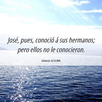 Picture 06 - Génesis 42:8 RVA - José, pues, conoció á sus hermanos; pero ellos - Bible Verse Picture