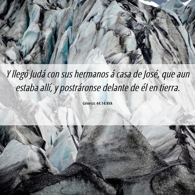 Picture 06 - Génesis 44:14 RVA - Y llegó Judá con sus hermanos á casa de José, - Bible Verse Picture