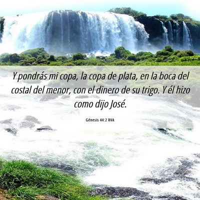 Picture 06 - Génesis 44:2 RVA - Y pondrás mi copa, la copa de plata, en la boca - Bible Verse Picture