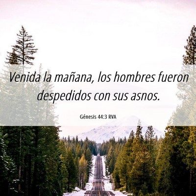 Picture 06 - Génesis 44:3 RVA - Venida la mañana, los hombres fueron despedidos - Bible Verse Picture