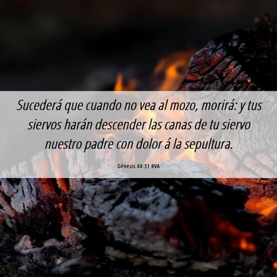 Picture 06 - Génesis 44:31 RVA - Sucederá que cuando no vea al mozo, morirá: y - Bible Verse Picture